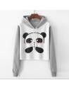 Hoddie panda