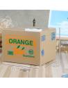 Tirelire Chat Saving Box