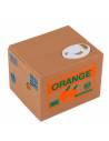 Tirelire Chat Saving Box