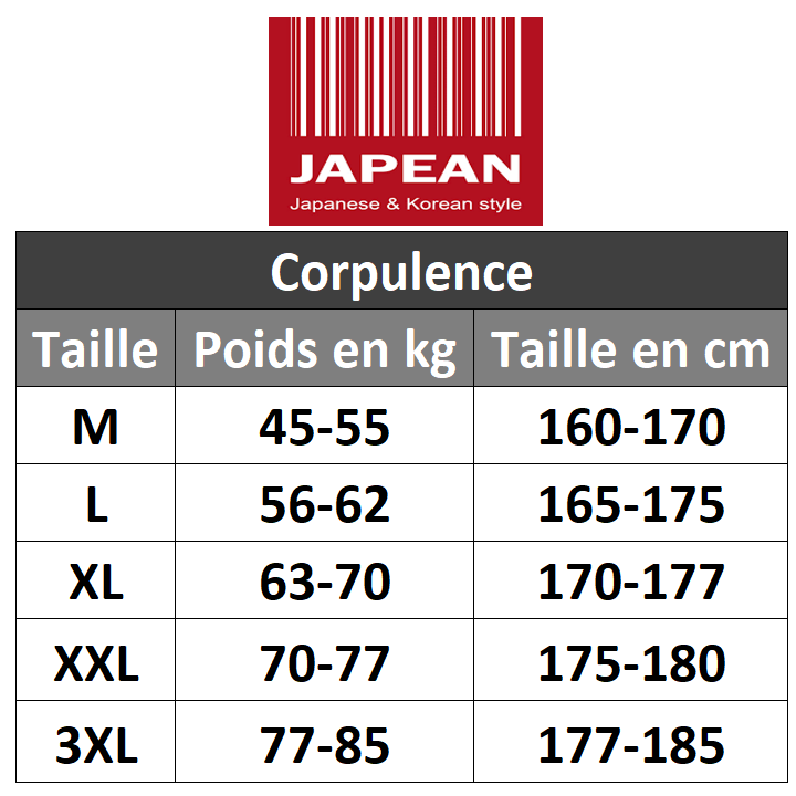 Vêtements japonais et coréens pour garçons - T-shirt japonais et coréens pour hommes - T-shirt Shishū